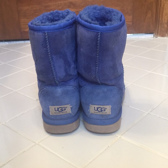 bright blue uggs